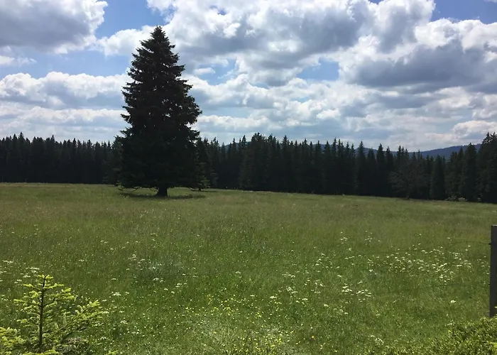 Apartman Kvilda 126
