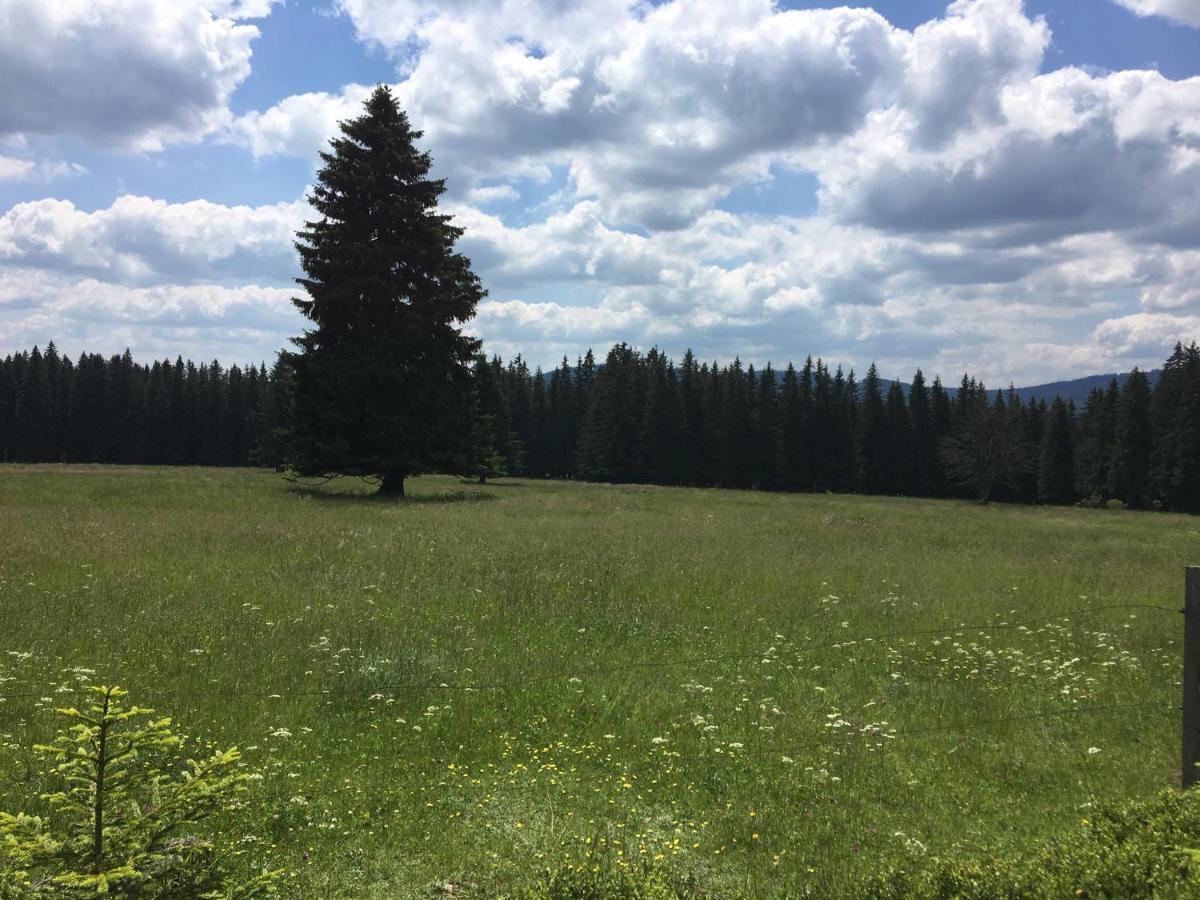 126 * Kvilda